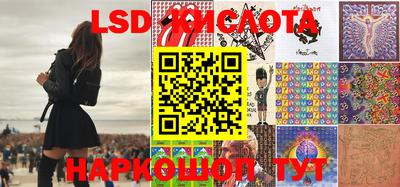 прущие грибы Комсомольск-на-Амуре